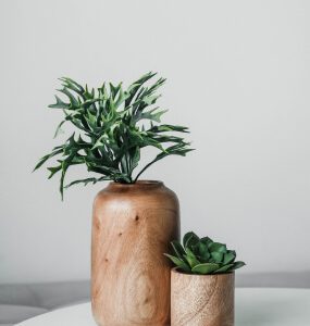 Home Wooden Greenery